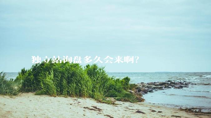 独立站询盘多久会来啊？