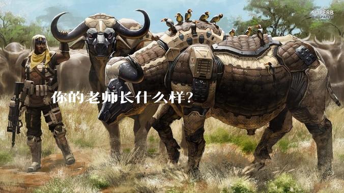 你的老师长什么样？